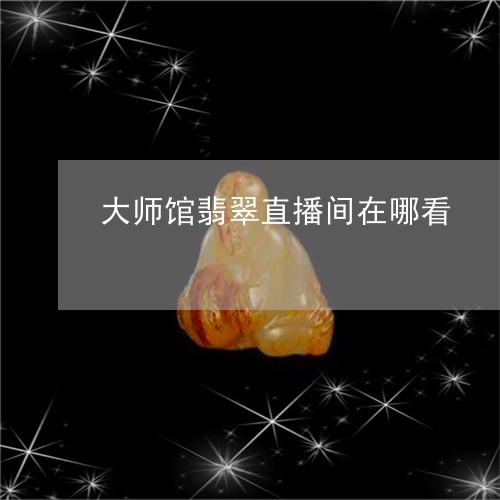 大师馆翡翠直播间在哪看/2023100682249