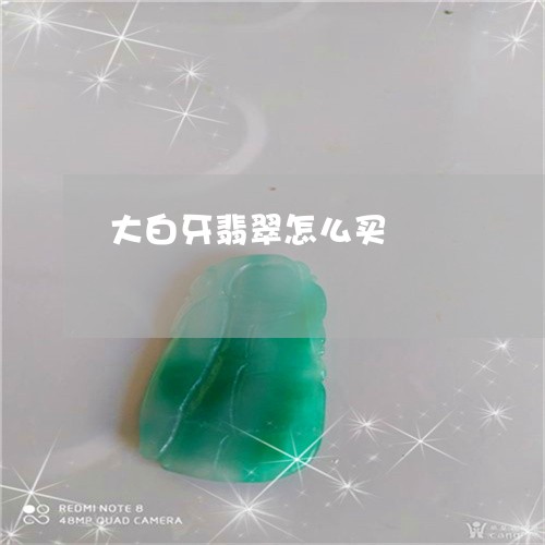 大白牙翡翠怎么买/2023090630753