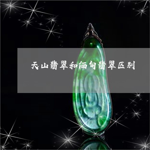 天山翡翠和缅甸翡翠区别/2023100788127