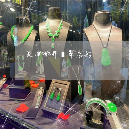 天津哪开翡翠店好/2023090602029