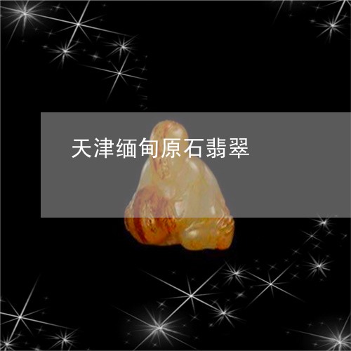 天津缅甸原石翡翠/2023090671316