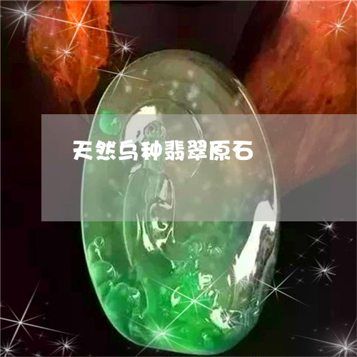 天然乌种翡翠原石/2023090793918