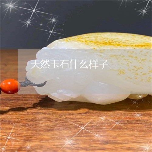 天然玉石什么样子/2023090781561