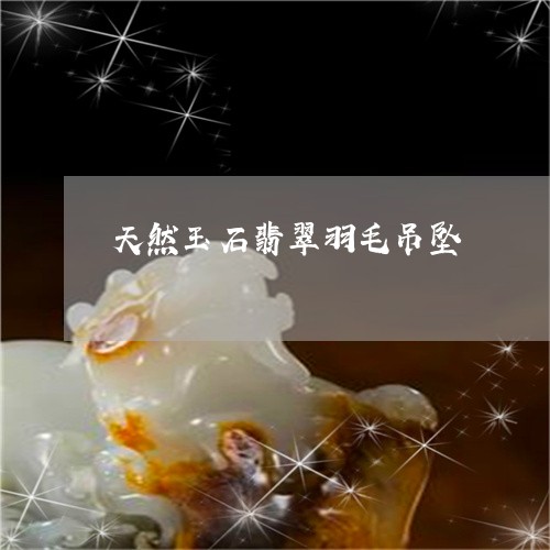 天然玉石翡翠羽毛吊坠/2023102518892