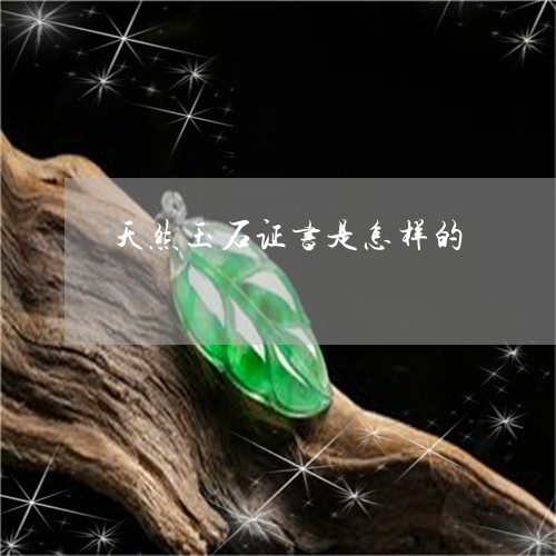 天然玉石证书是怎样的/2023110891426