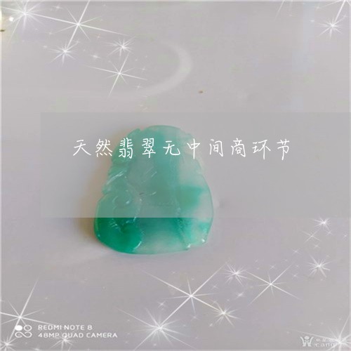 天然翡翠无中间商环节/2023110809036