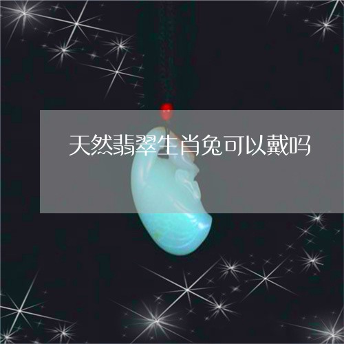 天然翡翠生肖兔可以戴吗/2023102556098