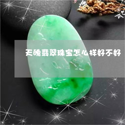 天魄翡翠珠宝怎么样好不好/2023101738185