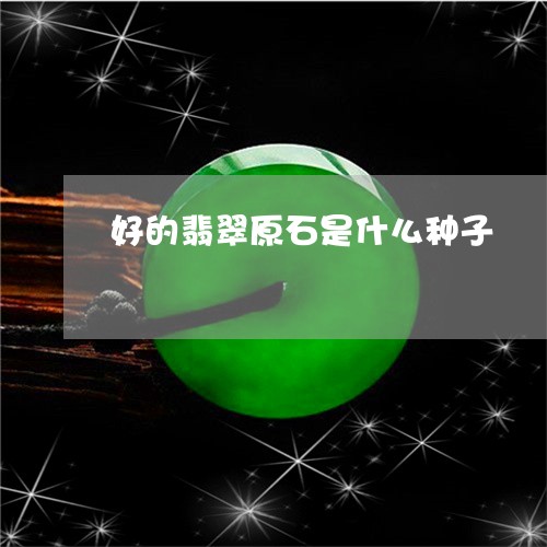 好的翡翠原石是什么种子/2023100697410