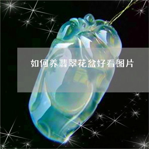 如何养翡翠花盆好看图片/2023100562993