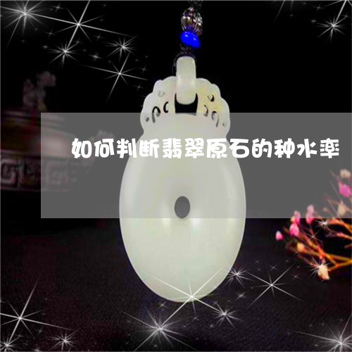 如何判断翡翠原石的种水率/2023110675870