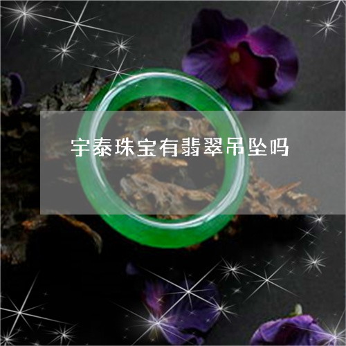 宇泰珠宝有翡翠吊坠吗/2023082491483