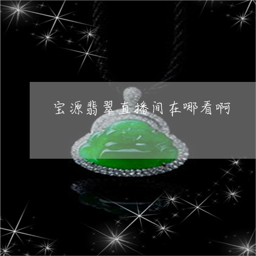 宝源翡翠直播间在哪看啊/2023100514509