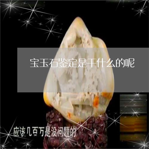 宝玉石鉴定是干什么的呢/2023100770629