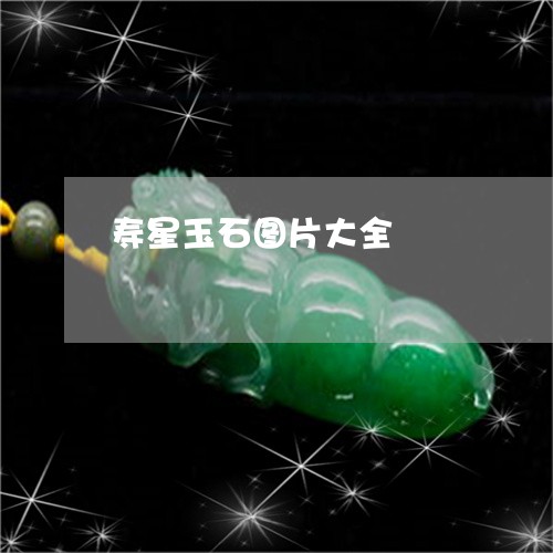 寿星玉石图片大全/2023090564387