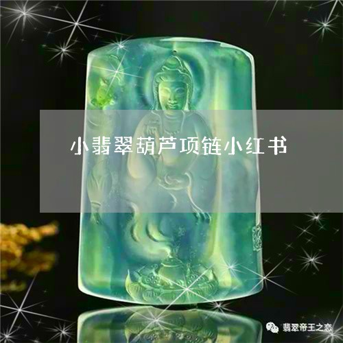 小翡翠葫芦项链小红书/2023082565707