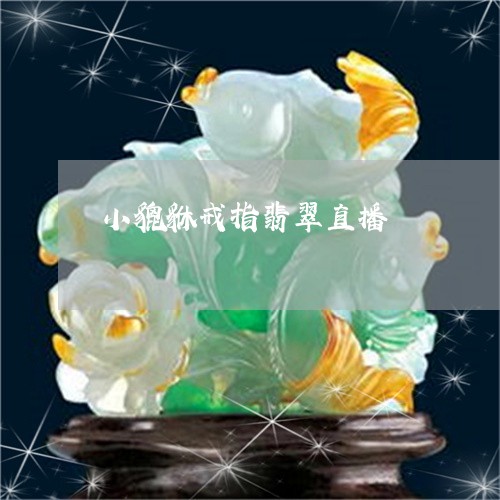 小貔貅戒指翡翠直播/2023101932411