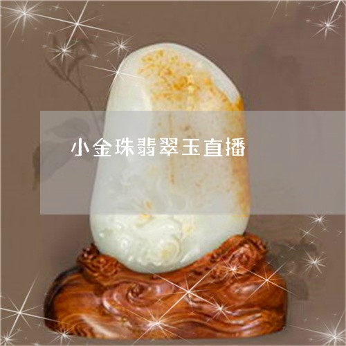 小金珠翡翠玉直播/2023110126169