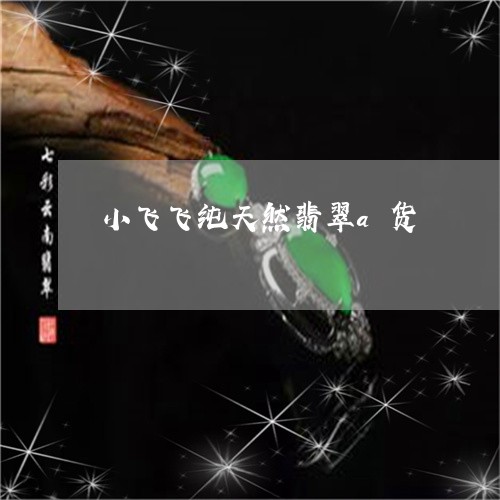 小飞飞纯天然翡翠a货/2023110815097