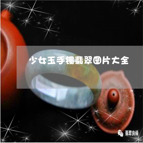 少女玉手镯翡翠图片大全/2023102523097