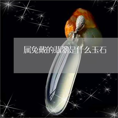 属兔戴的翡翠是什么玉石/2023100758871