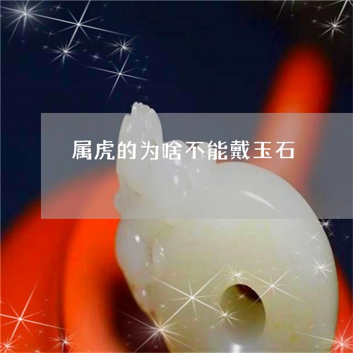 属虎的为啥不能戴玉石/2023082501819