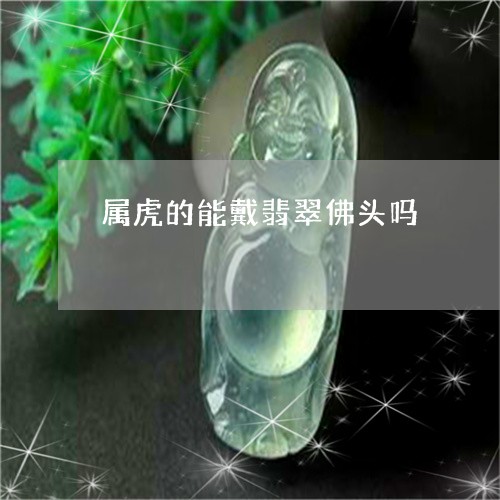 属虎的能戴翡翠佛头吗/2023082454089