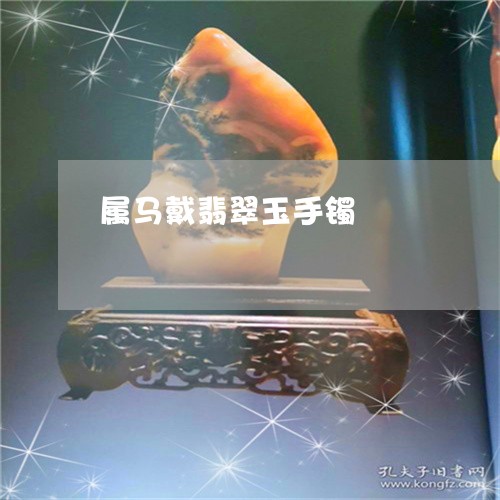 属马戴翡翠玉手镯/2023051818062