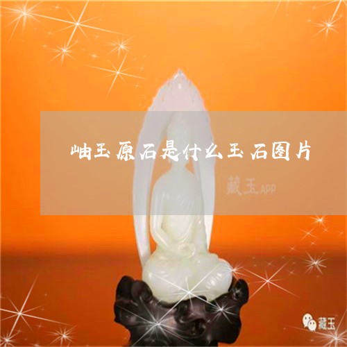 岫玉原石是什么玉石图片/2023102651364