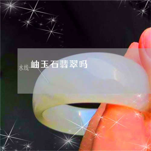 岫玉石翡翠吗/2023110651041