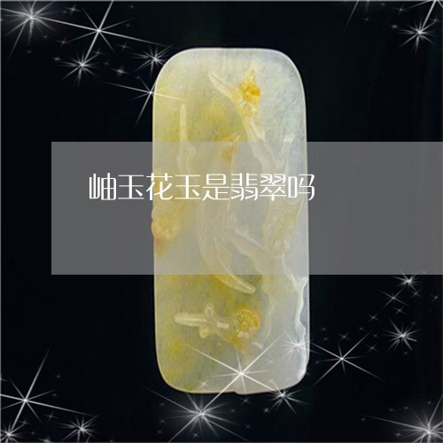 岫玉花玉是翡翠吗/2023090502805