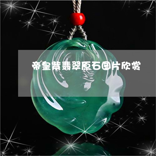 帝皇紫翡翠原石图片欣赏/2023102646074