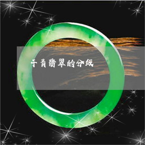 干青翡翠的分级/2023080431036