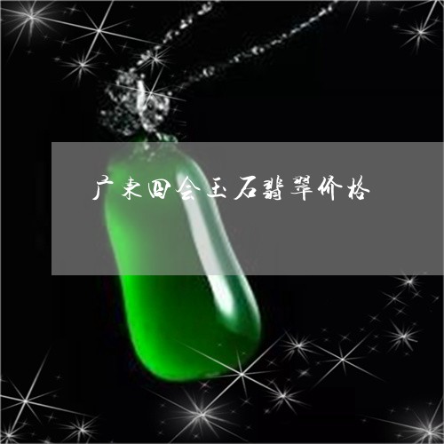 广东四会玉石翡翠价格/2023102560220