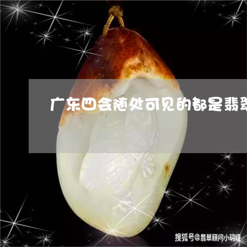 广东四会随处可见的都是翡翠/2023101777481