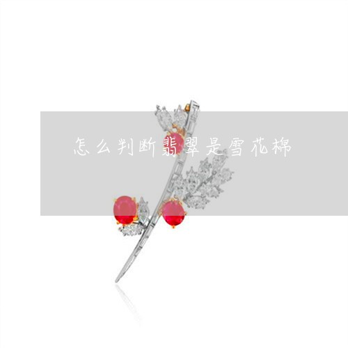 怎么判断翡翠是雪花棉/2023082546971