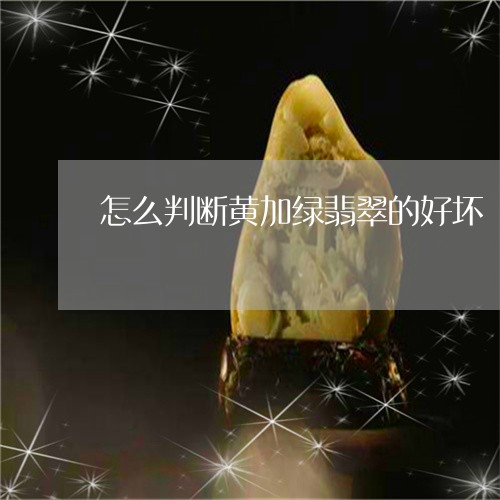 怎么判断黄加绿翡翠的好坏/2023092837627