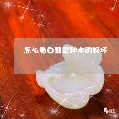 怎么看白翡翠种水的好坏/2023100527311