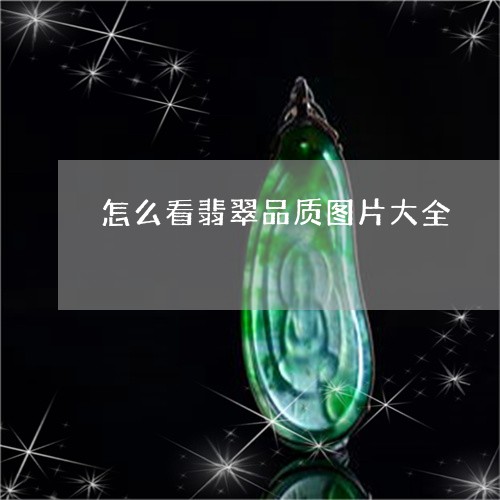 怎么看翡翠品质图片大全/2023100620849