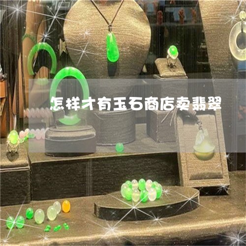 怎样才有玉石商店卖翡翠/2023082500261