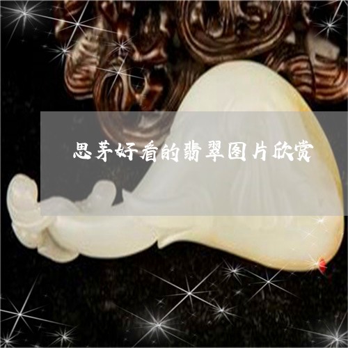 思茅好看的翡翠图片欣赏/2023100506008