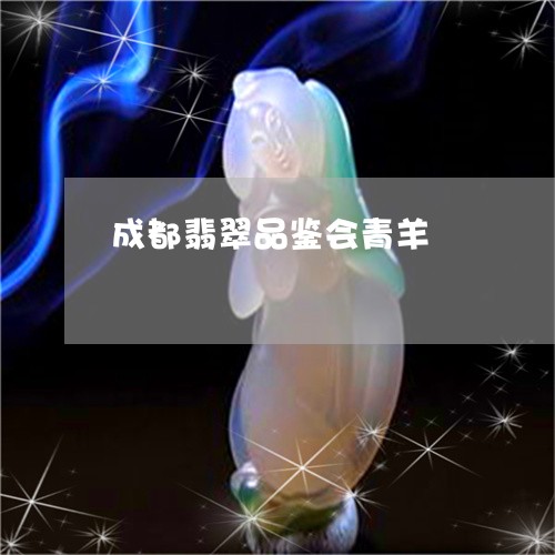 成都翡翠品鉴会青羊/2023110146398