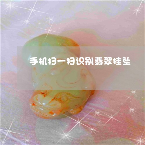 手机扫一扫识别翡翠挂坠/2023100769443