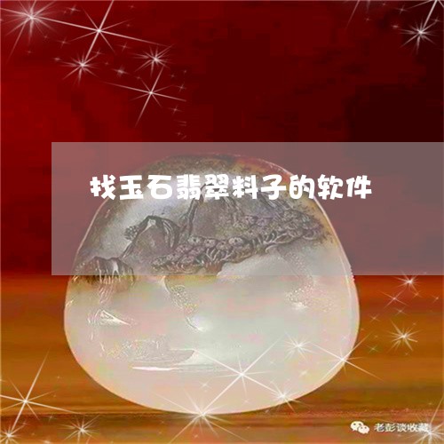 找玉石翡翠料子的软件/2023102556274