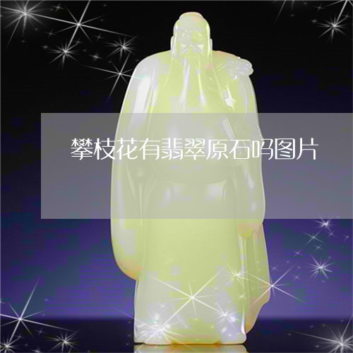 攀枝花有翡翠原石吗图片/2023102680705