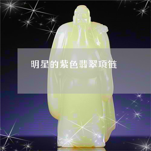 明星的紫色翡翠项链/2023101980523