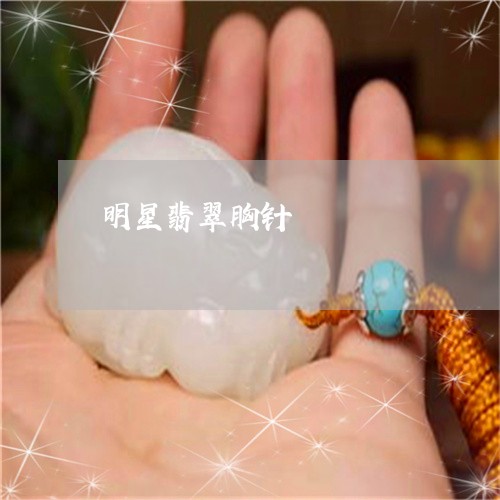 明星翡翠胸针/2023080418398