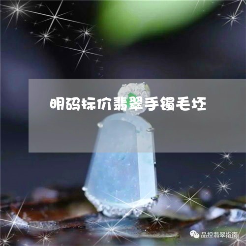 明码标价翡翠手镯毛坯/2023082502703