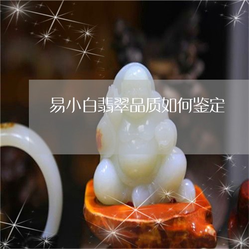 易小白翡翠品质如何鉴定/2023100853892