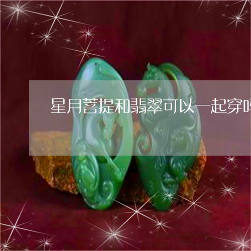 星月菩提和翡翠可以一起穿吗/2023110634620